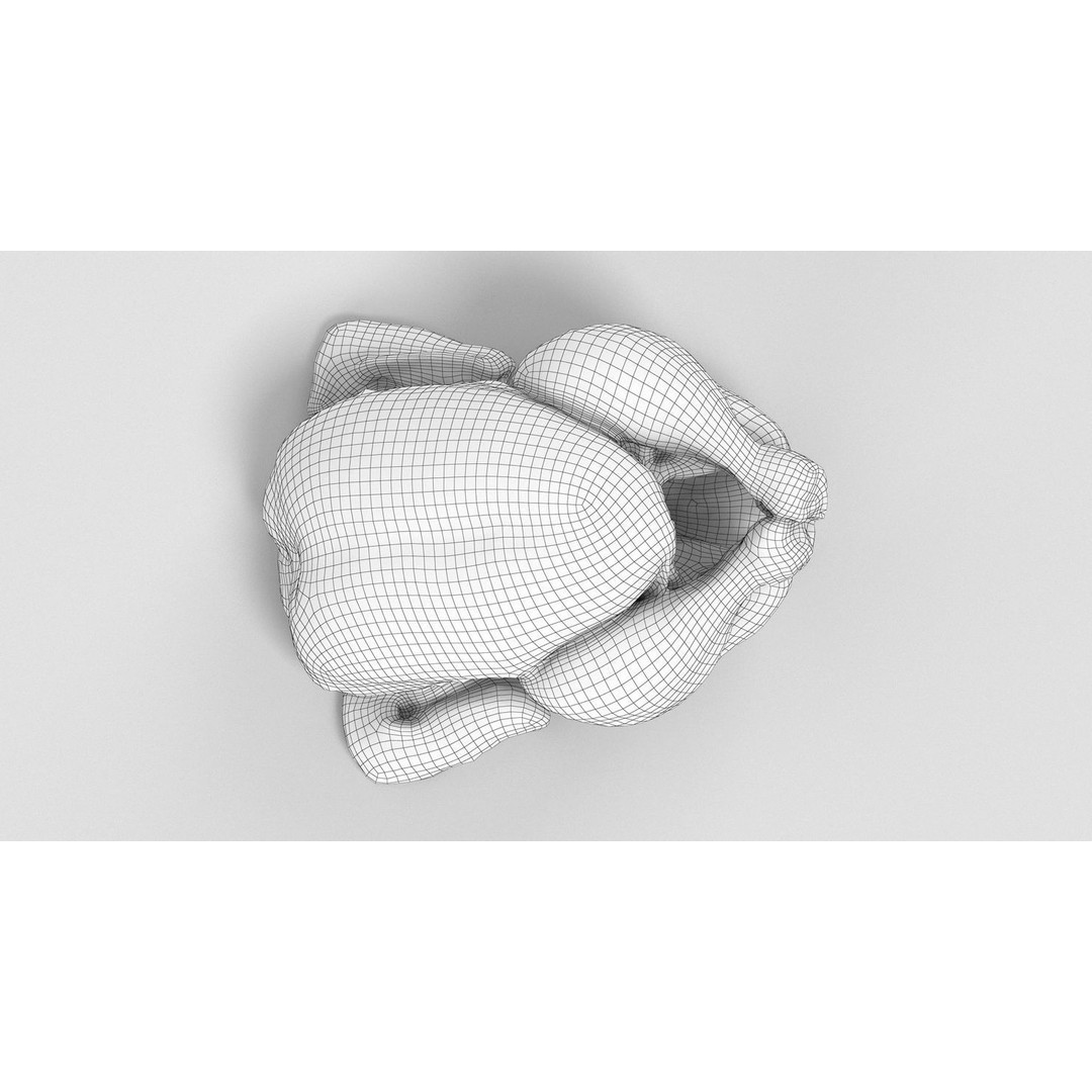 Raw Chicken 3D Model – High-Res Game Asset, FBX, OBJ - View 4