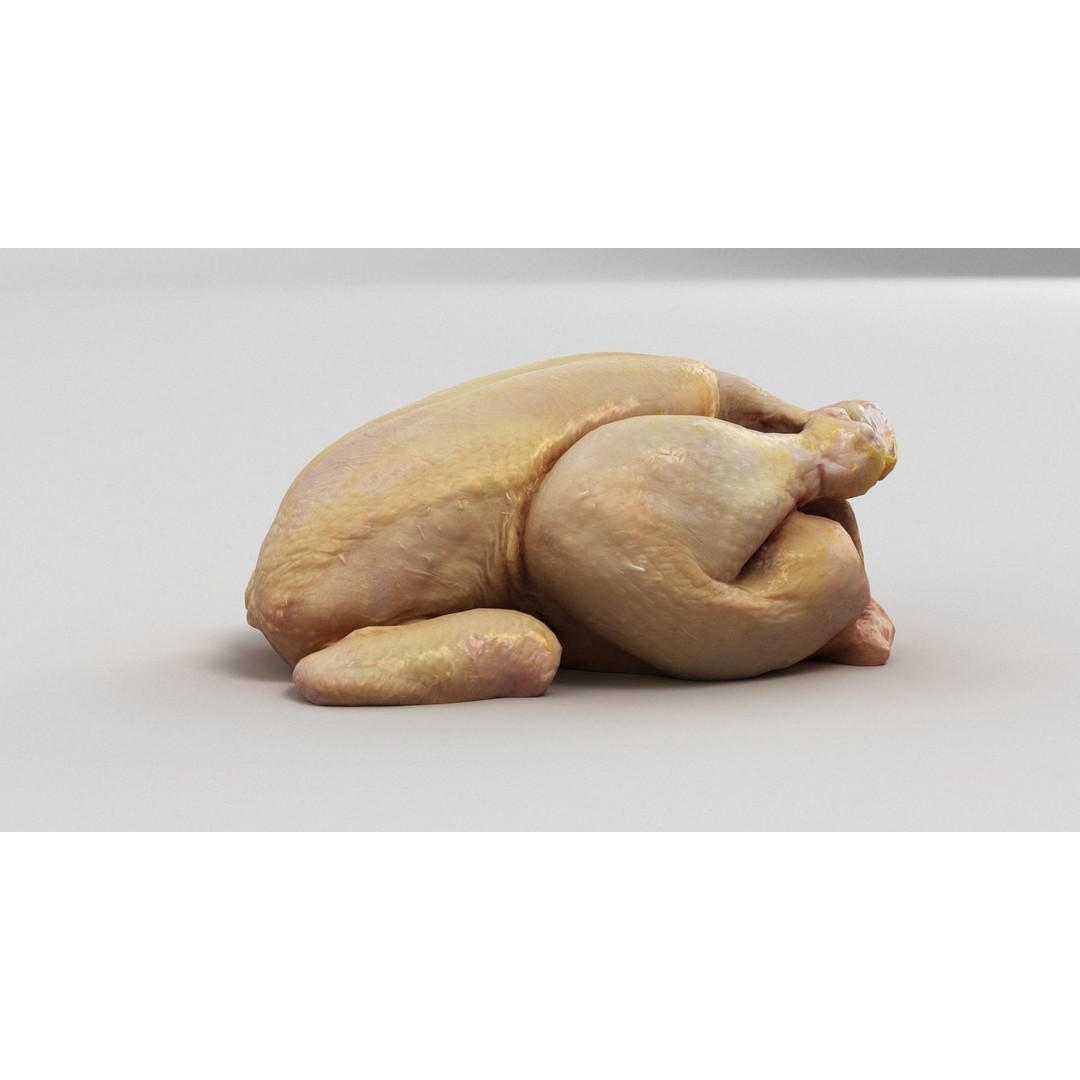 Raw Chicken 3D Model – High-Res Game Asset, FBX, OBJ - View 5