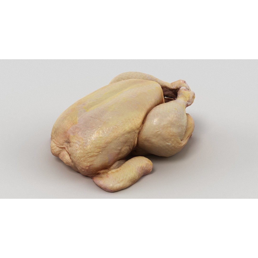 Raw Chicken 3D Model – High-Res Game Asset, FBX, OBJ - View 6