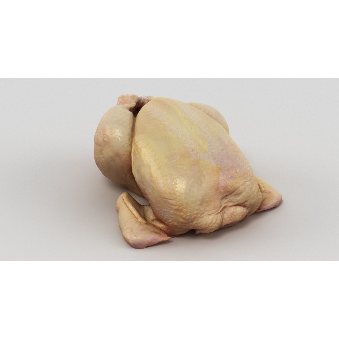 Raw Chicken 3D Model – High-Res Game Asset, FBX, OBJ - View 8