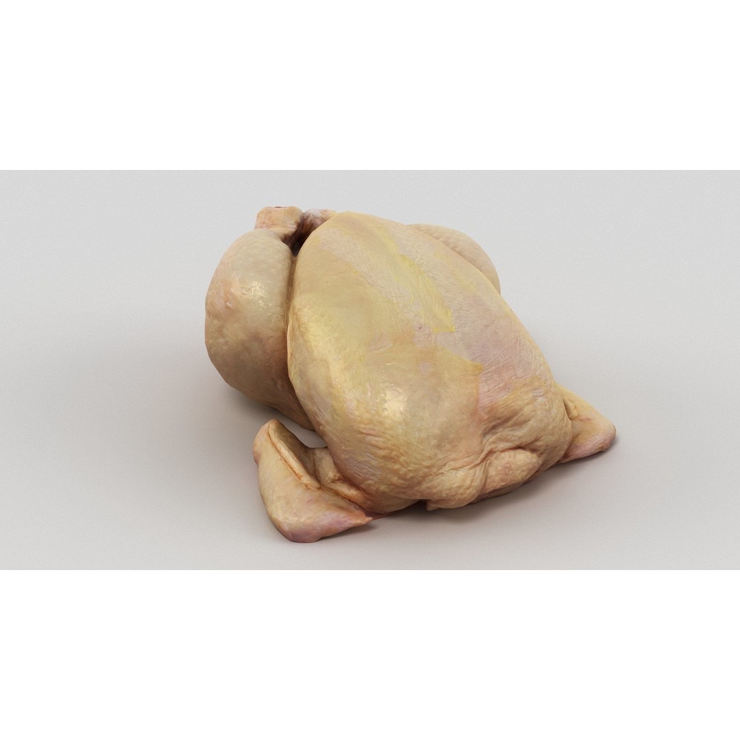 Raw Chicken 3D Model – High-Res Game Asset, FBX, OBJ - View 9