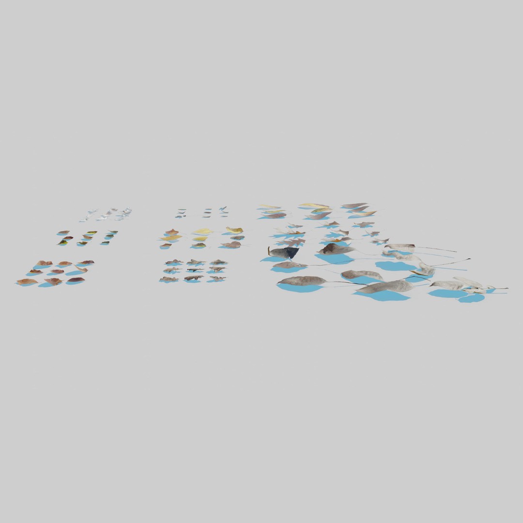 Dry Leaves 3D Model – Realistic Plant Asset, PBR Textures, FBX, OBJ - View 10