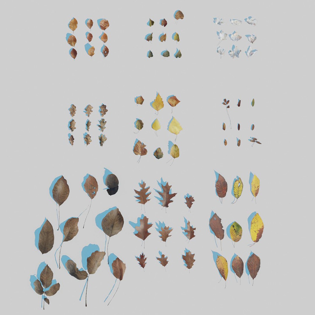 Dry Leaves 3D Model – Realistic Plant Asset, PBR Textures, FBX, OBJ - View 11
