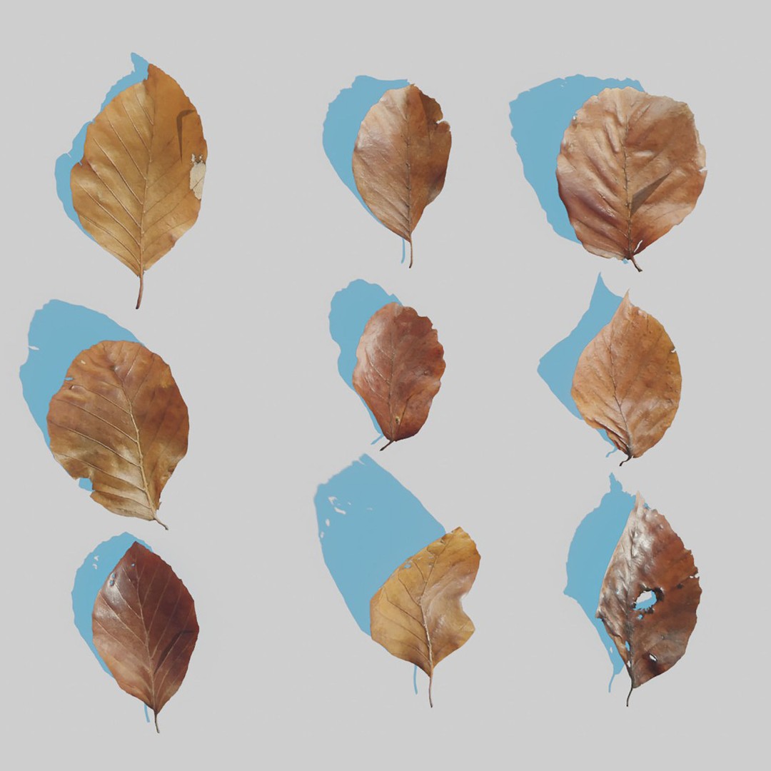 Dry Leaves 3D Model – Realistic Plant Asset, PBR Textures, FBX, OBJ - View 13