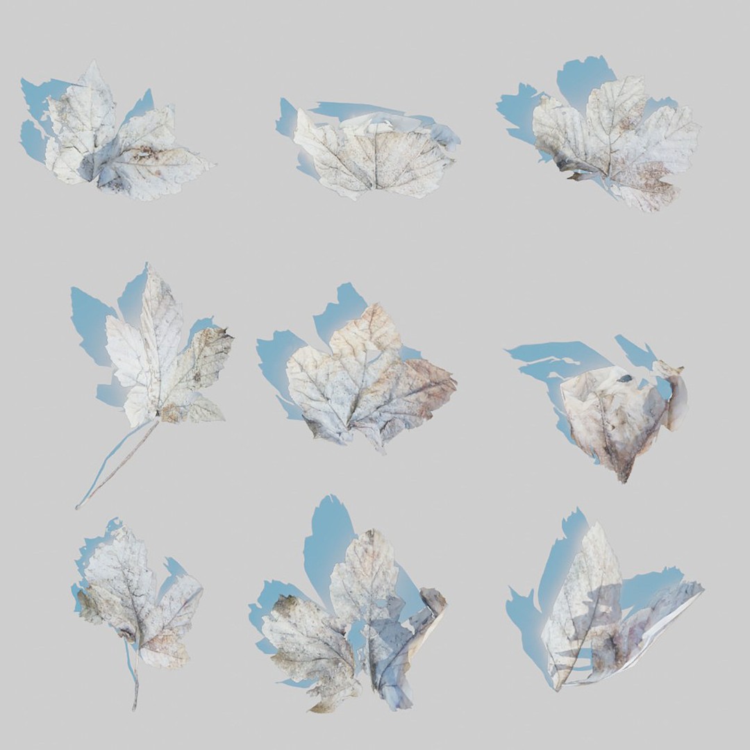 Dry Leaves 3D Model – Realistic Plant Asset, PBR Textures, FBX, OBJ - View 17