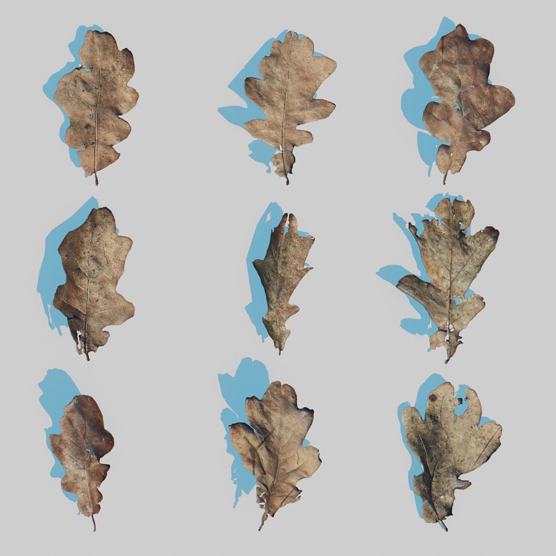 Dry Leaves 3D Model – Realistic Plant Asset, PBR Textures, FBX, OBJ - View 19