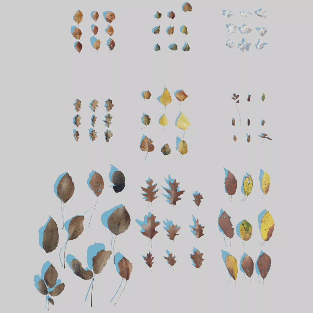 Dry Leaves 3D Model – Realistic Plant Asset, PBR Textures, FBX, OBJ - View 2