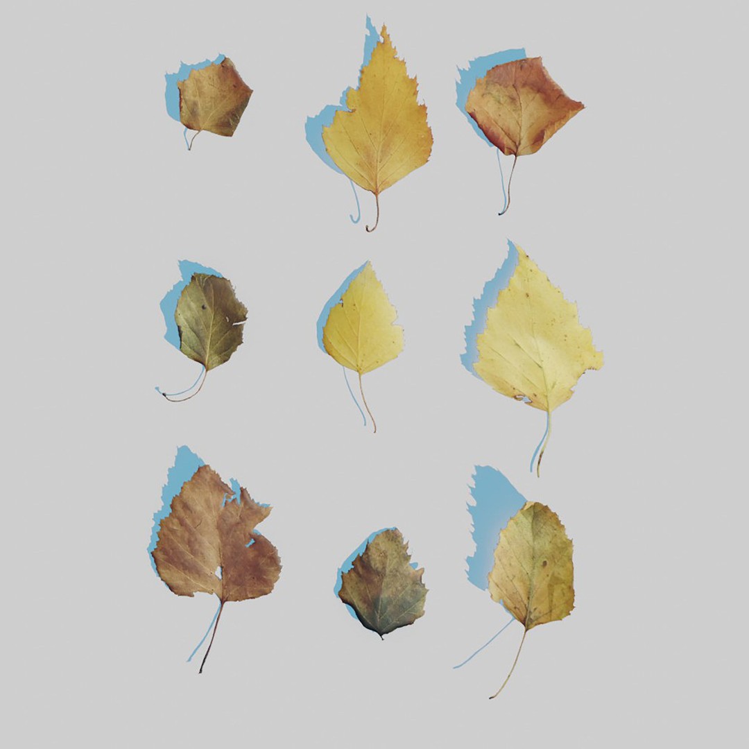 Dry Leaves 3D Model – Realistic Plant Asset, PBR Textures, FBX, OBJ - View 21