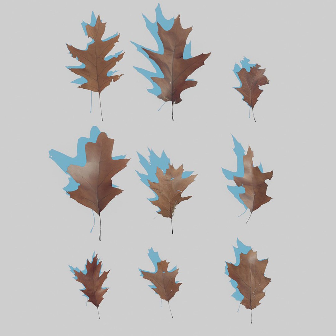 Dry Leaves 3D Model – Realistic Plant Asset, PBR Textures, FBX, OBJ - View 27