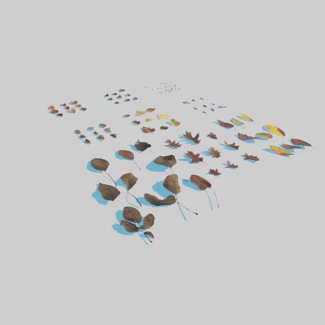 Dry Leaves 3D Model – Realistic Plant Asset, PBR Textures, FBX, OBJ - View 3