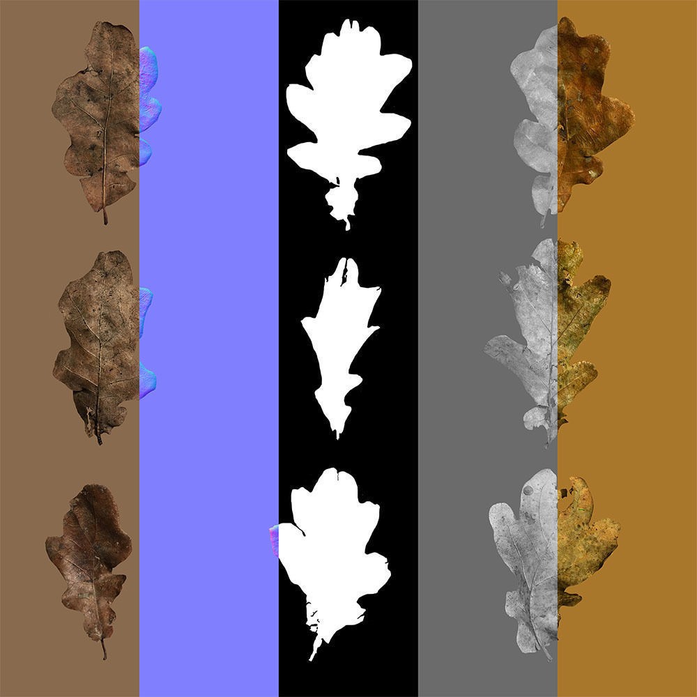 Dry Leaves 3D Model – Realistic Plant Asset, PBR Textures, FBX, OBJ - View 37