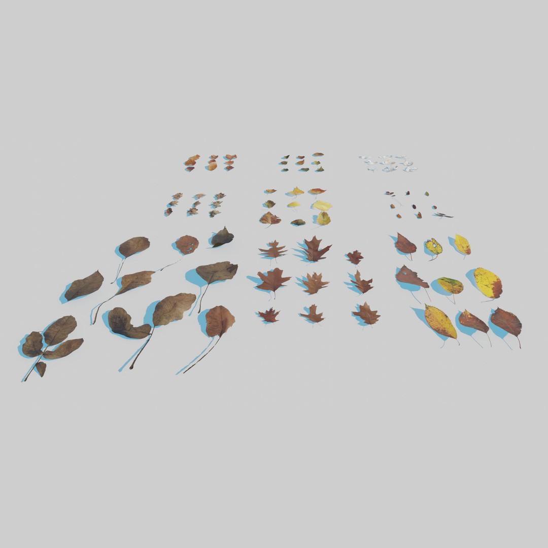 Dry Leaves 3D Model – Realistic Plant Asset, PBR Textures, FBX, OBJ - View 4