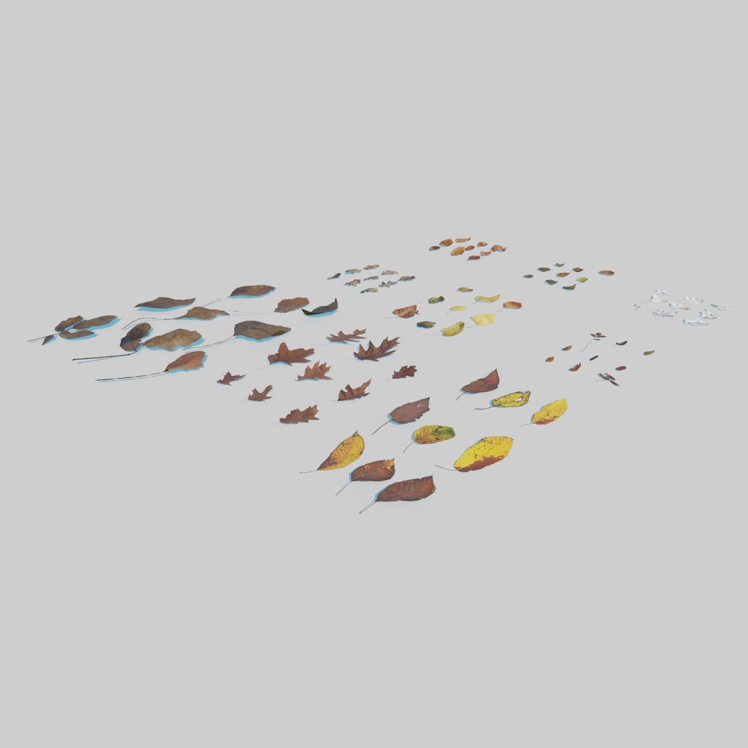 Dry Leaves 3D Model – Realistic Plant Asset, PBR Textures, FBX, OBJ - View 5