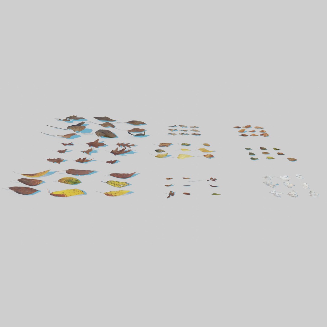 Dry Leaves 3D Model – Realistic Plant Asset, PBR Textures, FBX, OBJ - View 6