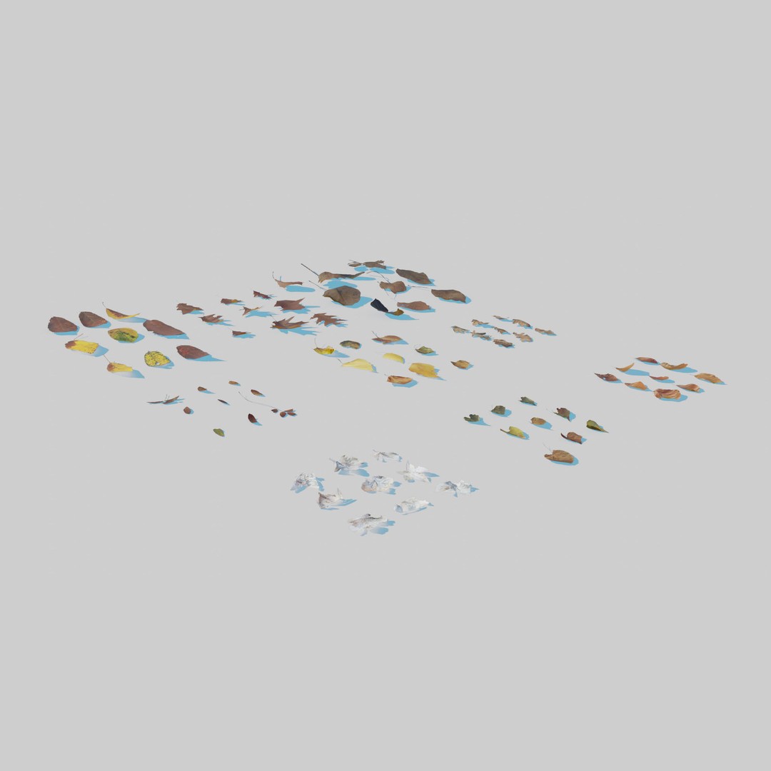 Dry Leaves 3D Model – Realistic Plant Asset, PBR Textures, FBX, OBJ - View 7