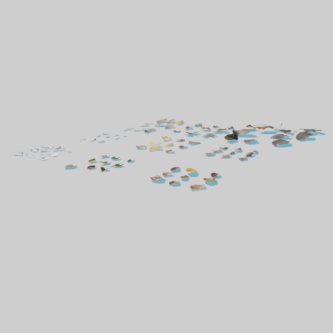 Dry Leaves 3D Model – Realistic Plant Asset, PBR Textures, FBX, OBJ - View 9