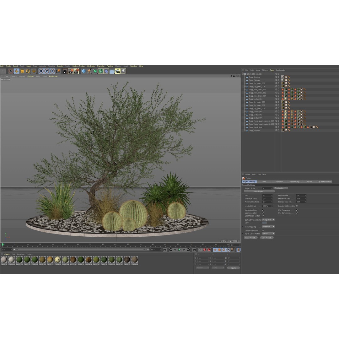 Plants 3D Model – High Quality Collection for Interior and Exterior Use