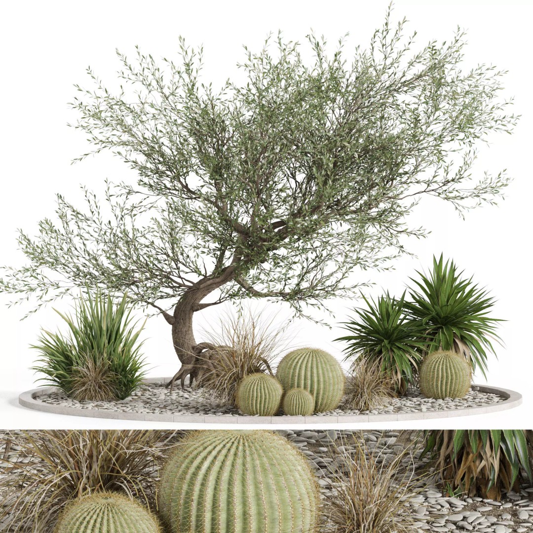 Plants 3D Model – High Quality Collection for Interior and Exterior Use - View 2