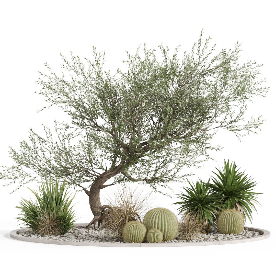 Plants 3D Model – High Quality Collection for Interior and Exterior Use - View 3