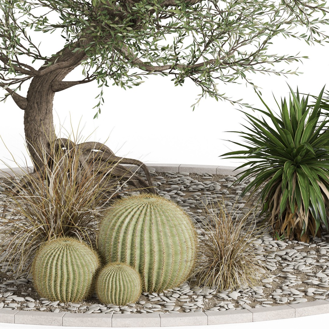 Plants 3D Model – High Quality Collection for Interior and Exterior Use - View 4