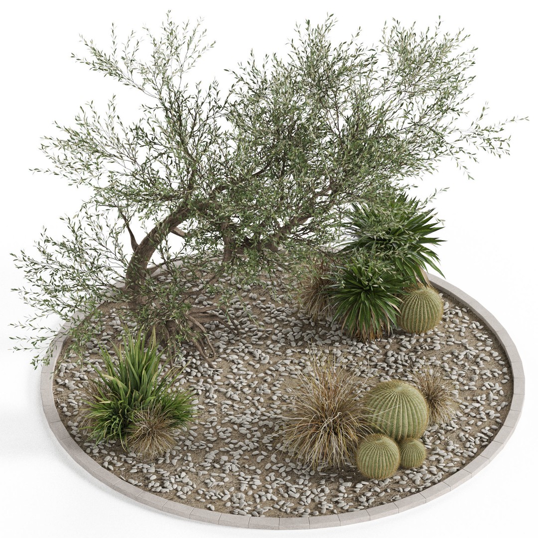 Plants 3D Model – High Quality Collection for Interior and Exterior Use - View 5