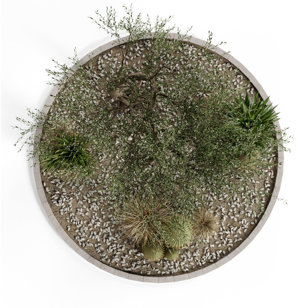 Plants 3D Model – High Quality Collection for Interior and Exterior Use - View 8