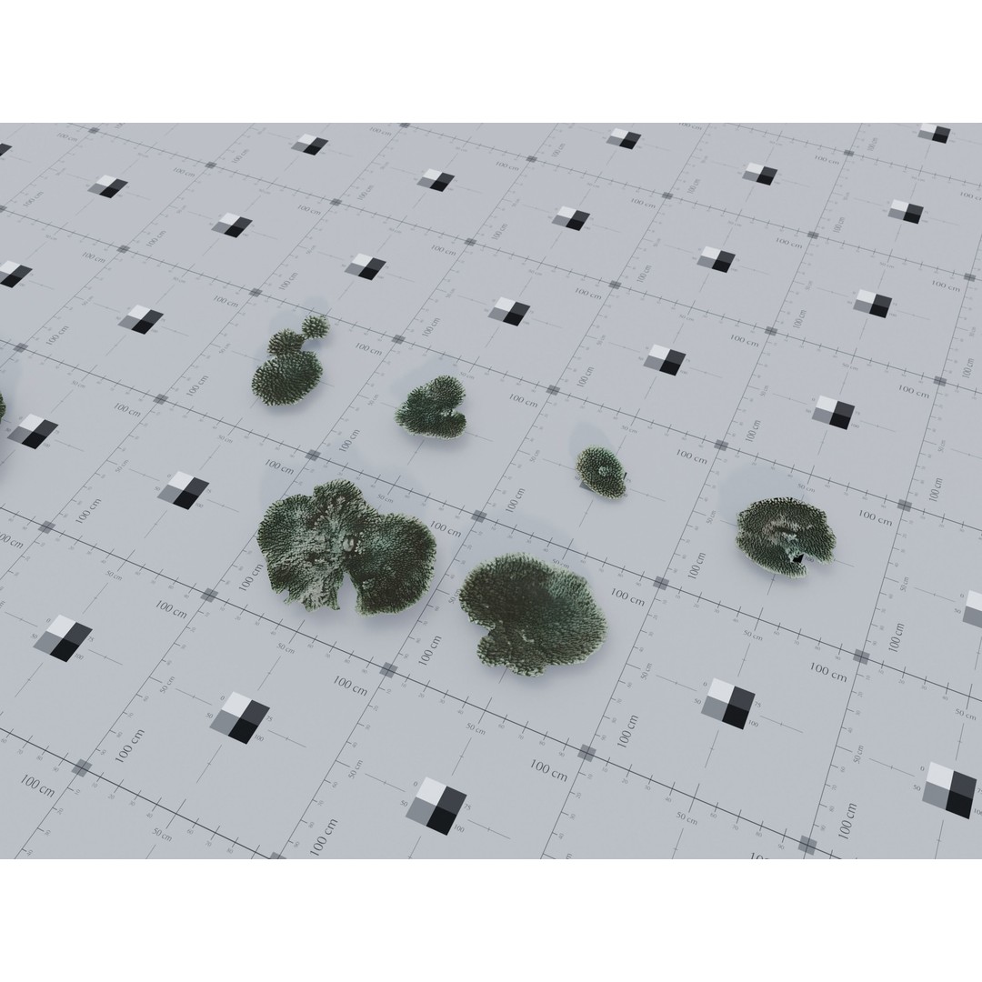 Marine Biome 3D Model – Low Poly Underwater Assets, FBX & Blender - View 11