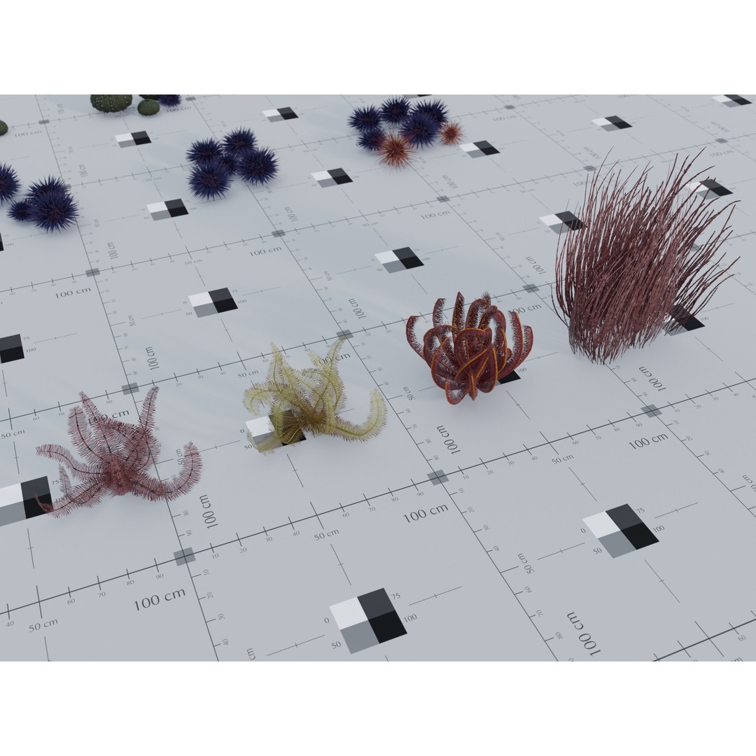 Marine Biome 3D Model – Low Poly Underwater Assets, FBX & Blender - View 14