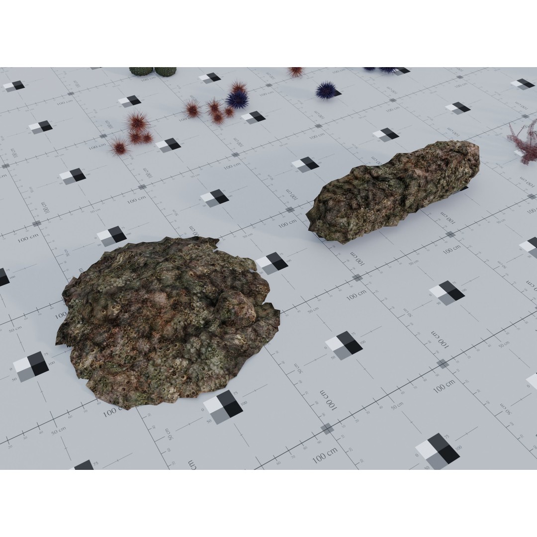 Marine Biome 3D Model – Low Poly Underwater Assets, FBX & Blender - View 17