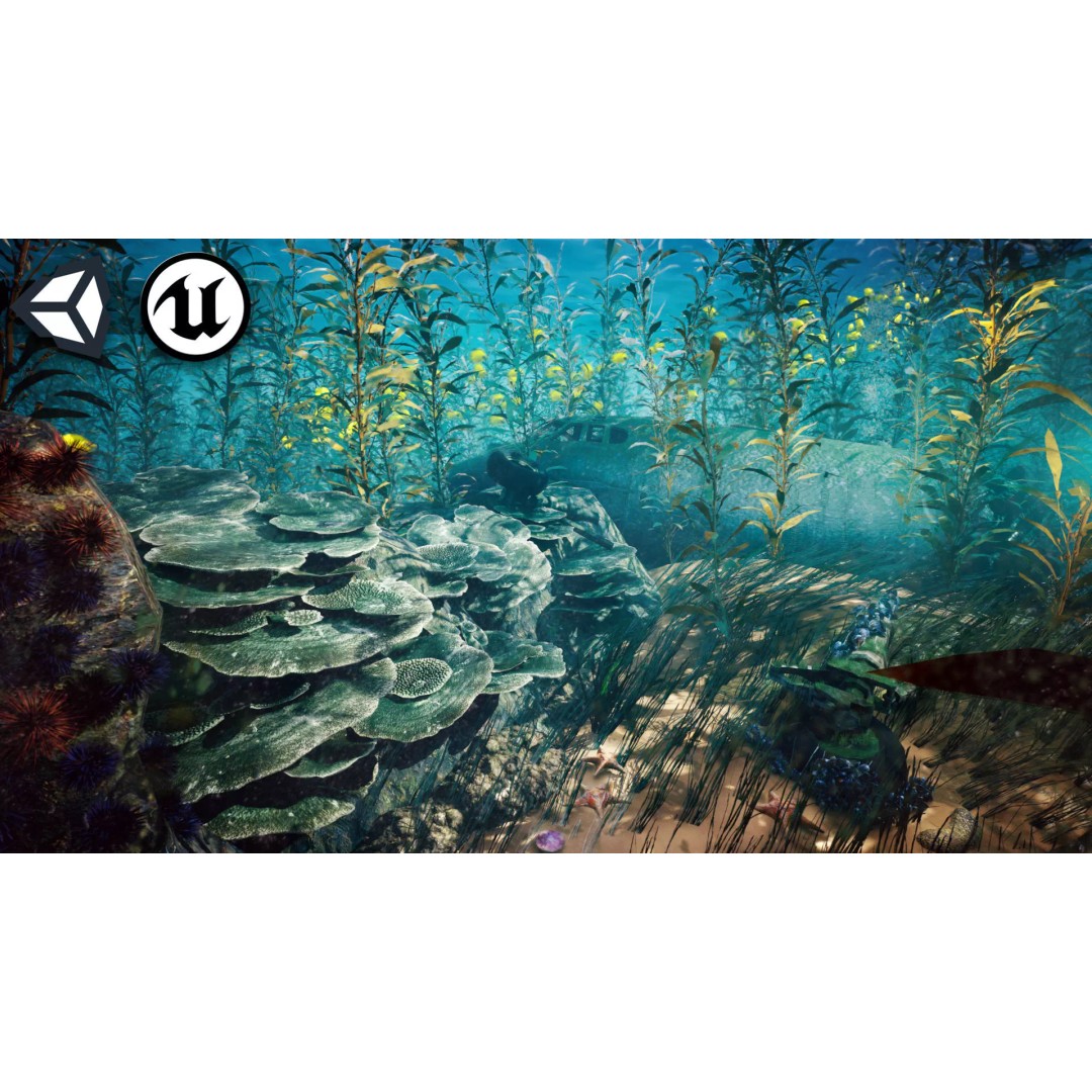 Marine Biome 3D Model – Low Poly Underwater Assets, FBX & Blender - View 2