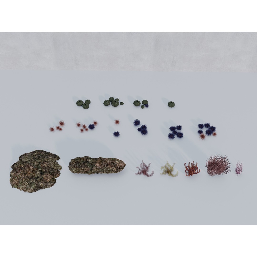 Marine Biome 3D Model – Low Poly Underwater Assets, FBX & Blender - View 4