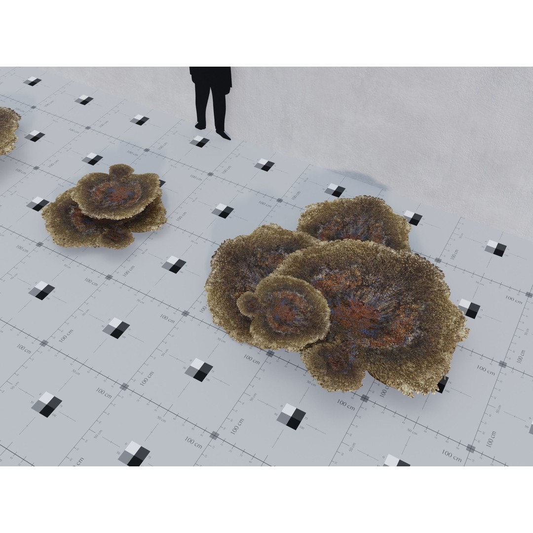 Marine Biome 3D Model – Low Poly Underwater Assets, FBX & Blender - View 8