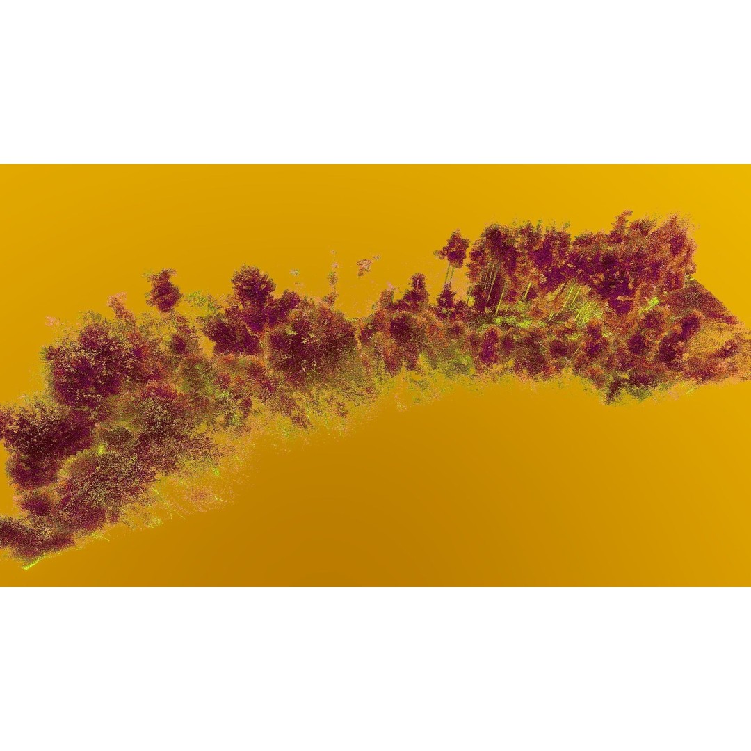 Gorge in the Forest 3D Model – Point Cloud Scan, Blender Compatible
