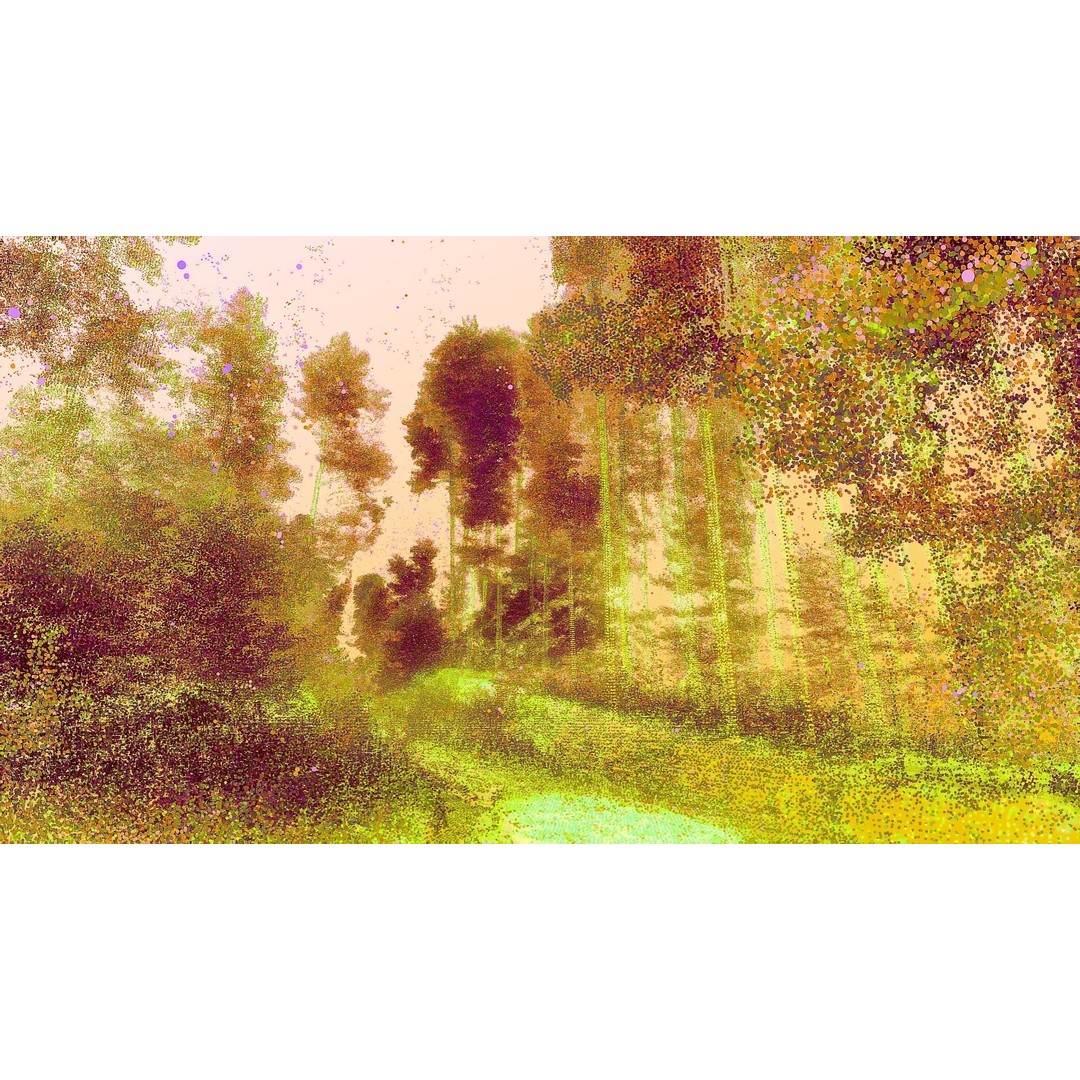Gorge in the Forest 3D Model – Point Cloud Scan, Blender Compatible - View 11