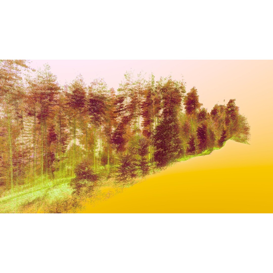 Gorge in the Forest 3D Model – Point Cloud Scan, Blender Compatible - View 13