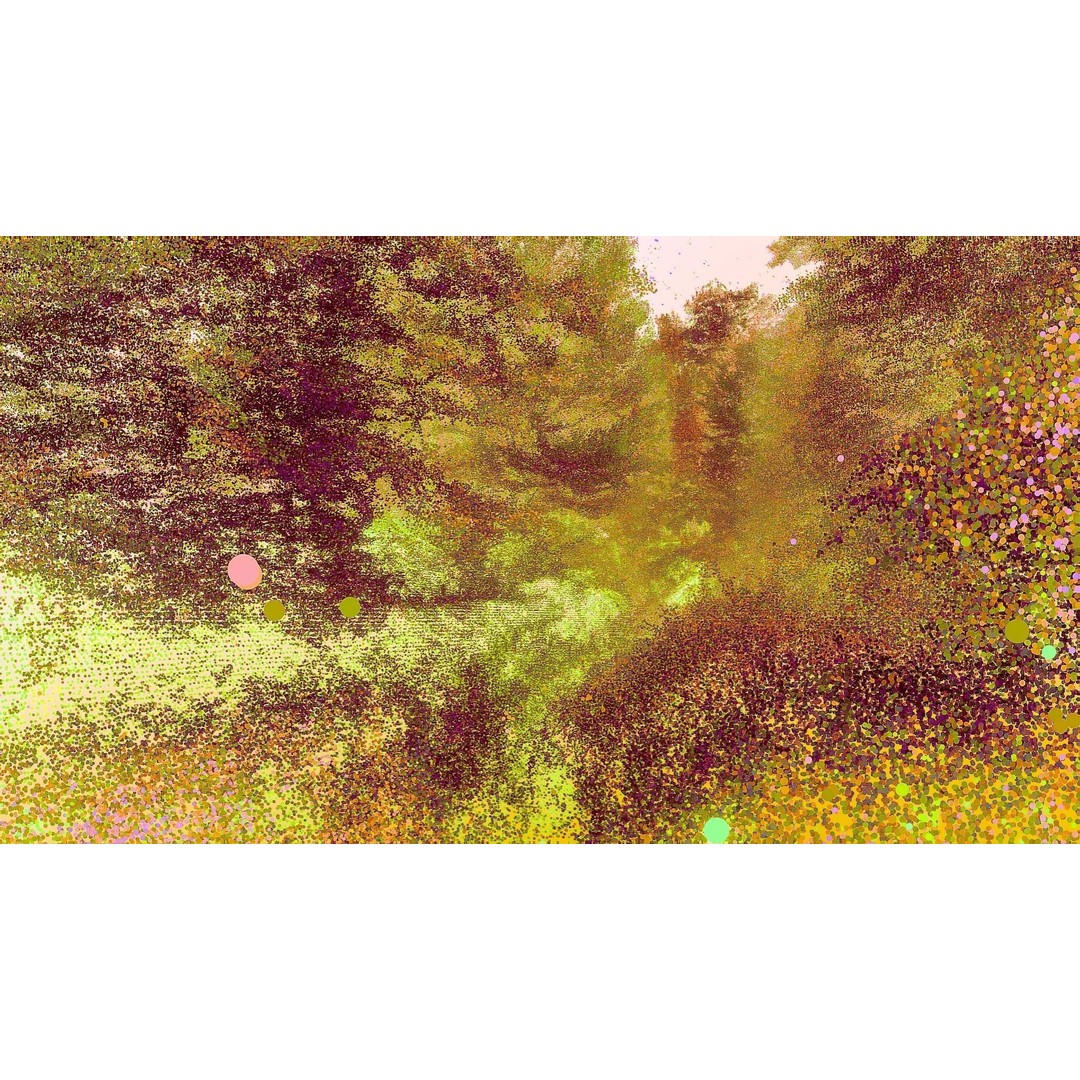 Gorge in the Forest 3D Model – Point Cloud Scan, Blender Compatible - View 14