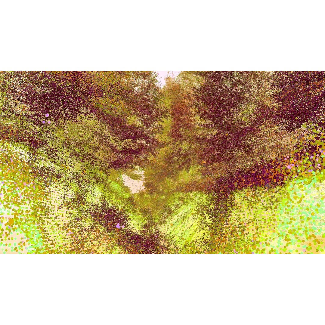 Gorge in the Forest 3D Model – Point Cloud Scan, Blender Compatible - View 15