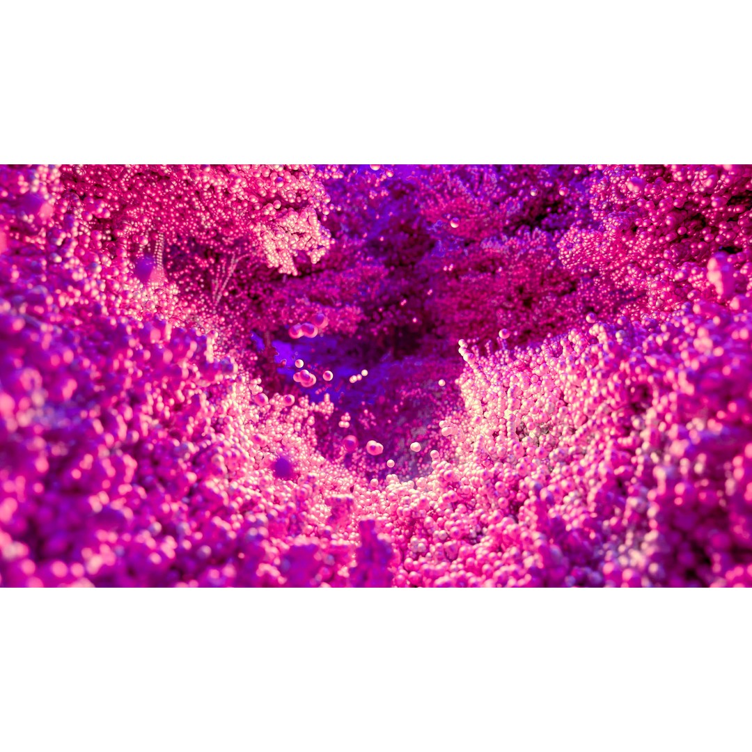 Gorge in the Forest 3D Model – Point Cloud Scan, Blender Compatible - View 7