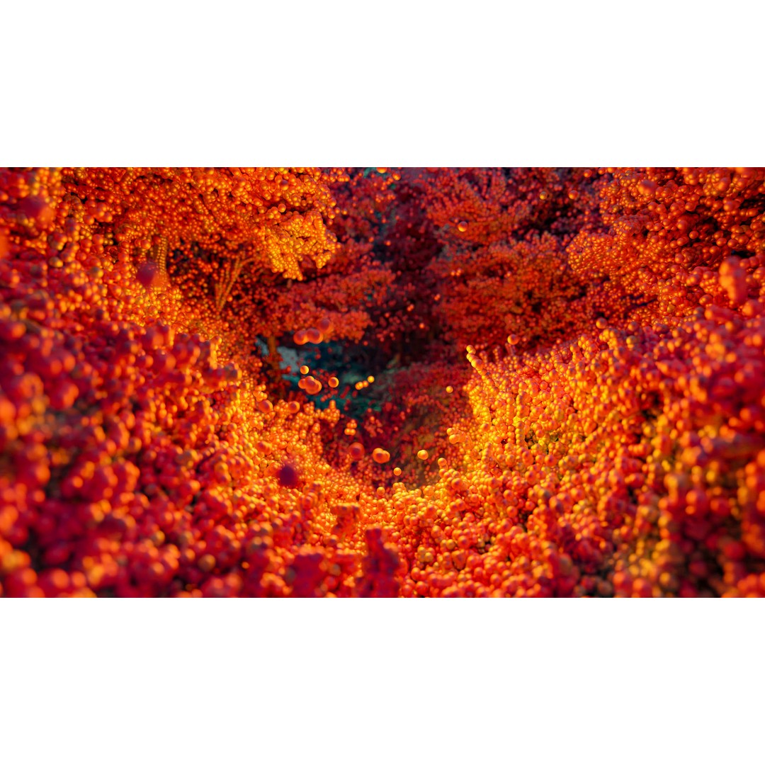 Gorge in the Forest 3D Model – Point Cloud Scan, Blender Compatible - View 8