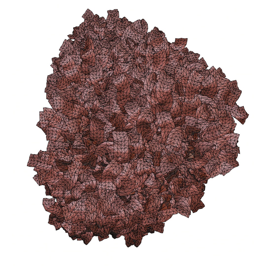 Tall Trees 3D Model – Realistic Round Crown Design for Archviz