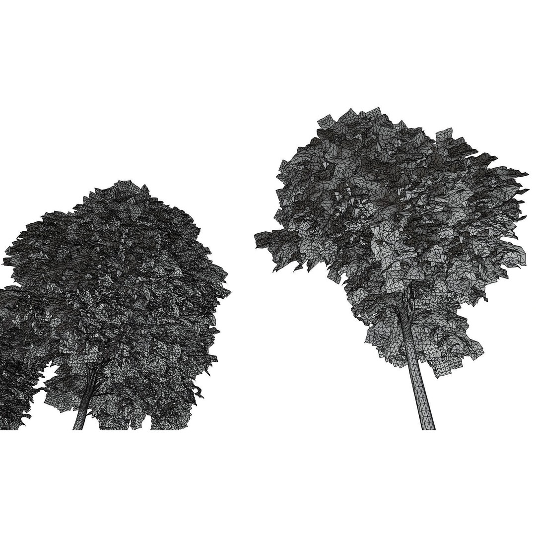 Tall Trees 3D Model – Realistic Round Crown Design for Archviz - View 11