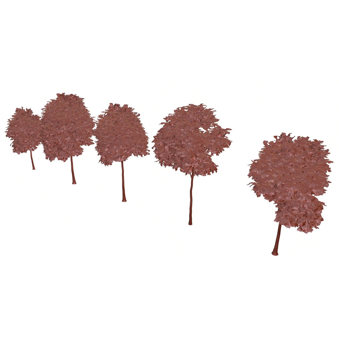 Tall Trees 3D Model – Realistic Round Crown Design for Archviz - View 12