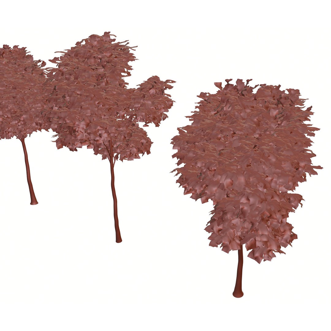 Tall Trees 3D Model – Realistic Round Crown Design for Archviz - View 13