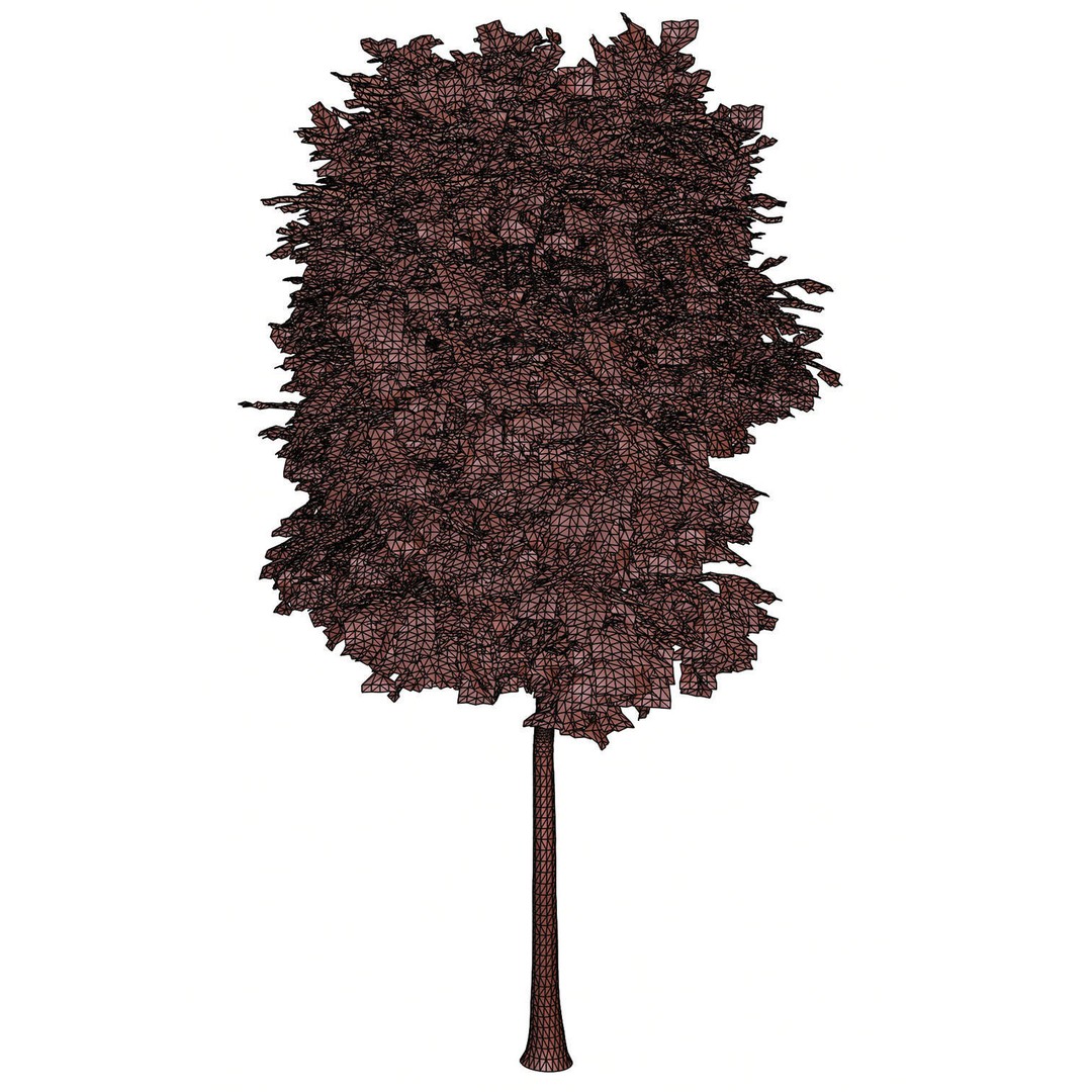 Tall Trees 3D Model – Realistic Round Crown Design for Archviz - View 15