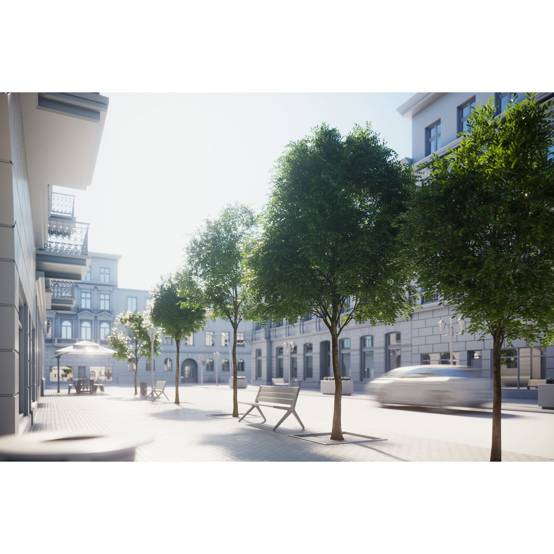 Tall Trees 3D Model – Realistic Round Crown Design for Archviz - View 3