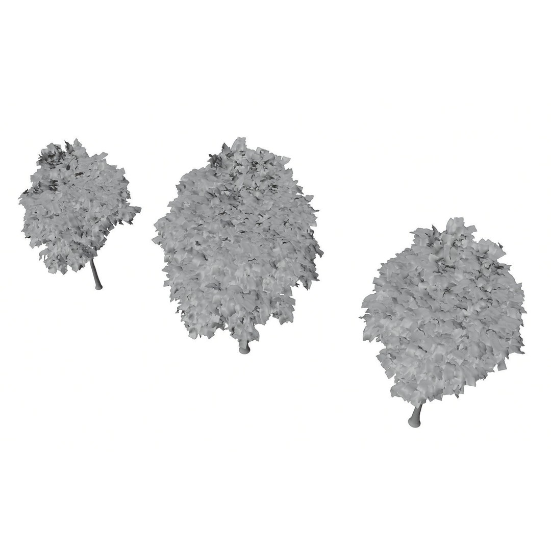 Tall Trees 3D Model – Realistic Round Crown Design for Archviz - View 9