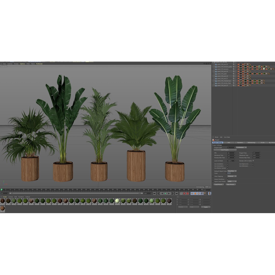 Plants Collection 539 3D Model – High Quality Pot Plants, FBX, OBJ
