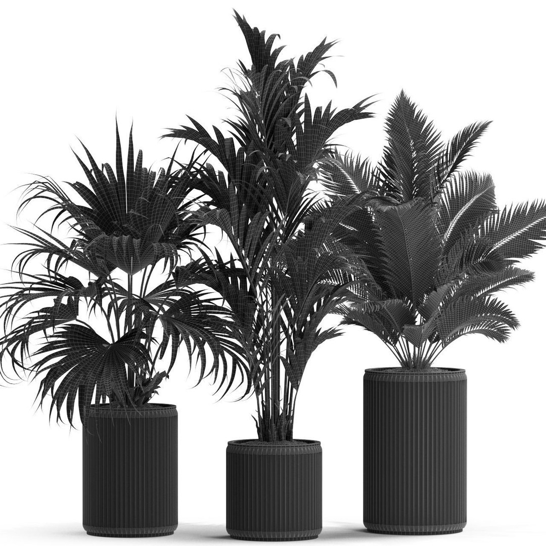 Plants Collection 539 3D Model – High Quality Pot Plants, FBX, OBJ - View 5