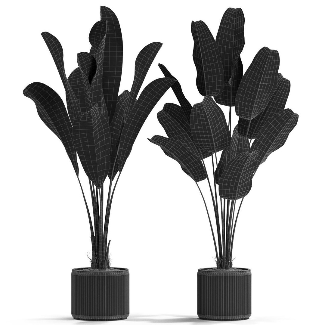 Plants Collection 539 3D Model – High Quality Pot Plants, FBX, OBJ - View 6