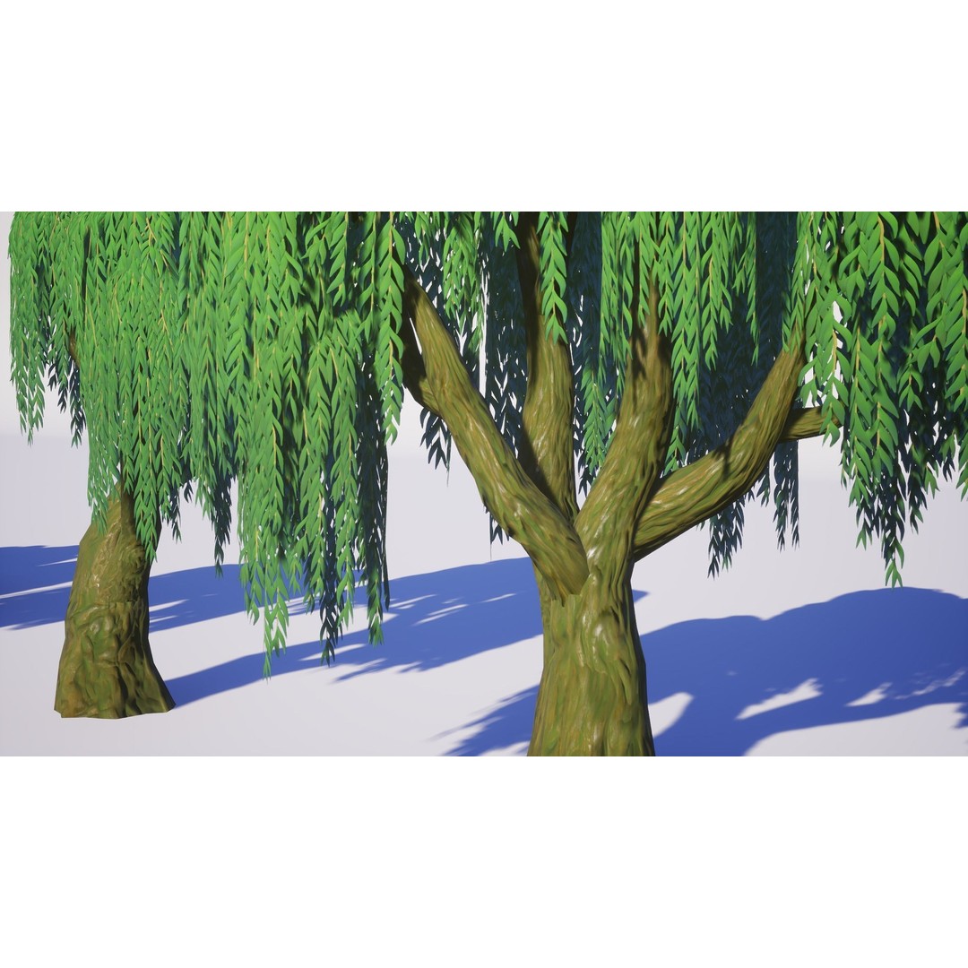 Willow Trees 3D Model – Low Poly Game Ready Asset, FBX - View 12